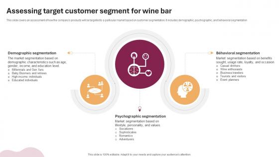 Assessing Target Customer Segment Wine And Cocktail Bar Business Plan BP SS