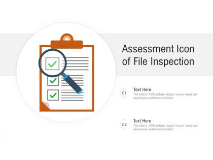 Assessment icon of file inspection