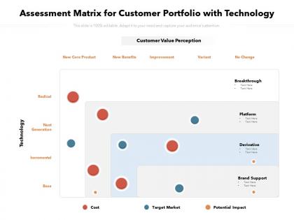 Assessment matrix for customer portfolio with technology