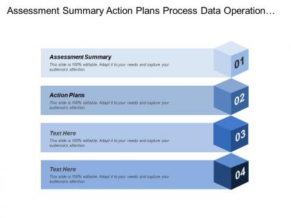 Assessment summary action plans process data operational goals
