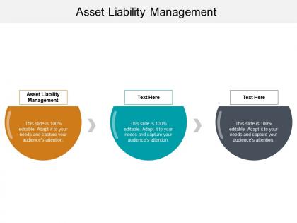Asset liability management ppt powerpoint presentation file graphics cpb