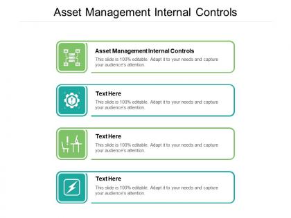 Asset management internal controls ppt powerpoint infographics cpb