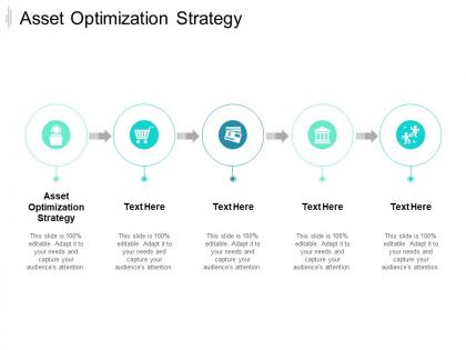 Asset optimization strategy ppt powerpoint presentation professional vector cpb