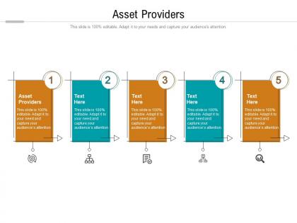 Asset providers ppt powerpoint presentation portfolio designs cpb