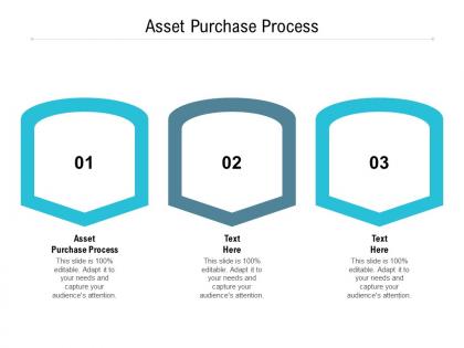 Asset purchase process ppt powerpoint presentation model ideas cpb