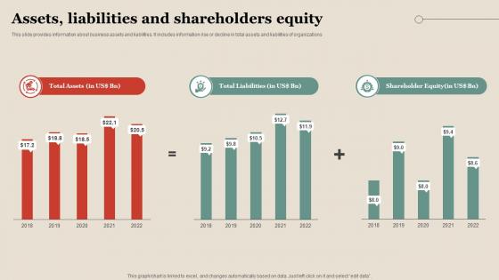 Assets Liabilities And Shareholders Equity Property Company Profile CP SS V