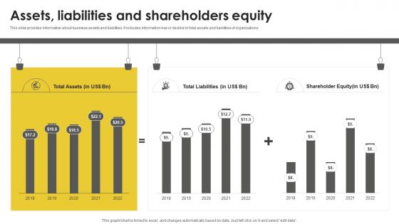 Assets Liabilities And Shareholders Equity Real Estate Company Profile CP SS