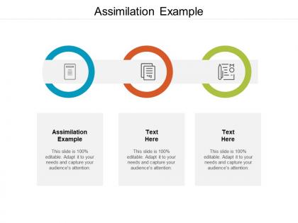 Assimilation example ppt powerpoint presentation outline styles cpb