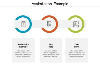 Assimilation Example Ppt Powerpoint Presentation Outline Styles Cpb ...