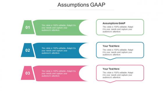 Assumptions GAAP Ppt PowerPoint Presentation Inspiration Skills Cpb