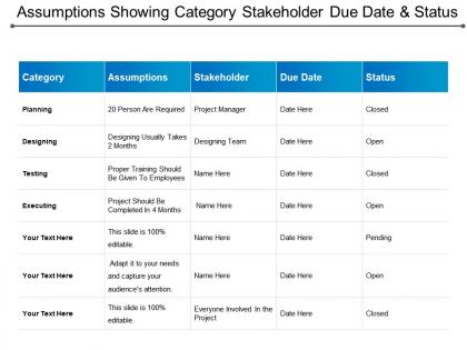Assumptions showing category stakeholder due date and status