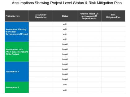 Assumptions showing project level status and risk mitigation plan