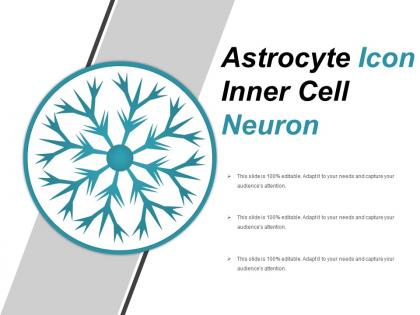 Astrocyte icon inner cell neuron