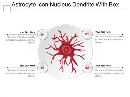 Astrocyte icon nucleus dendrite with box