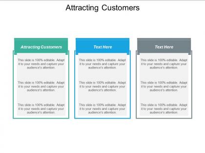 Attracting customers ppt powerpoint presentation show brochure cpb