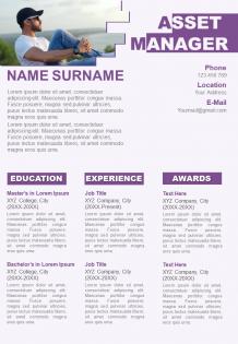 Attractive resume visual cv template for asset manager