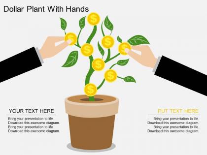 Au dollar plant with hands flat powerpoint design