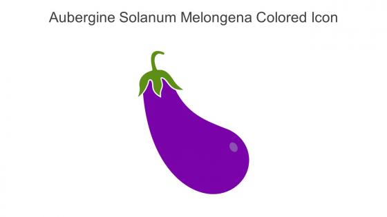 Aubergine Solanum Melongena Colored Icon In Powerpoint Pptx Png And Editable Eps Format