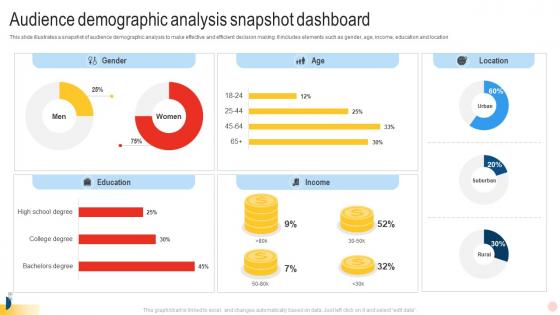 Audience Demographic Analysis Snapshot Dashboard