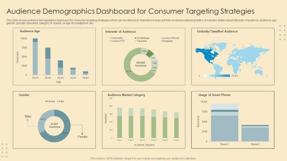 Audience Demographics Dashboard For Consumer Targeting Strategies