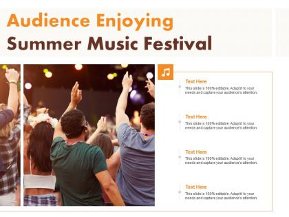 Audience enjoying summer music festival