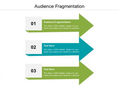 Audience fragmentation ppt powerpoint presentation styles sample cpb