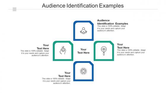 Audience identification examples ppt powerpoint presentation portfolio introduction cpb
