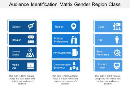 Audience identification matrix gender region class