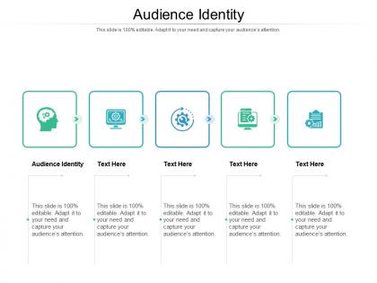 Audience identity ppt powerpoint presentation outline graphic tips cpb