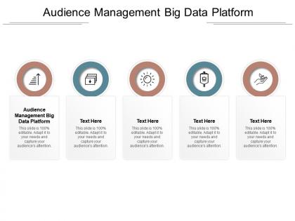 Audience management big data platform ppt powerpoint presentation summary graphics pictures cpb
