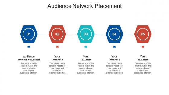 Audience network placement ppt powerpoint presentation diagram templates cpb