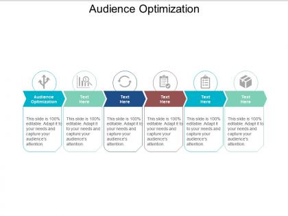 Audience optimization ppt powerpoint presentation outline pictures cpb