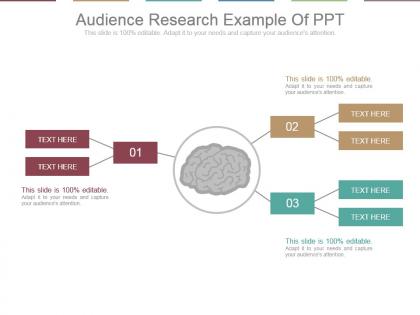 Audience research example of ppt