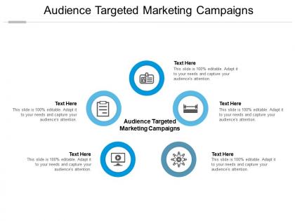 Audience targeted marketing campaigns ppt powerpoint presentation inspiration portrait cpb