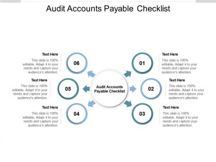 Audit accounts payable checklist ppt powerpoint presentation visuals cpb