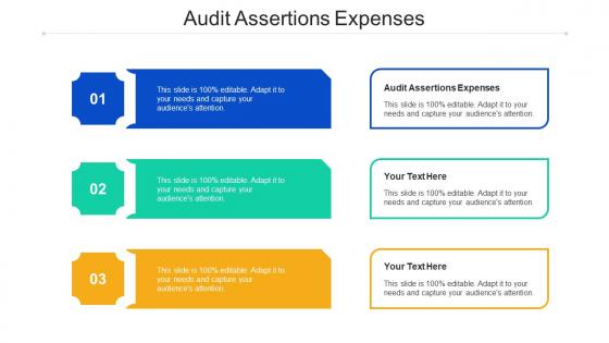 Audit Assertions Expenses Ppt Powerpoint Presentation Pictures Brochure Cpb