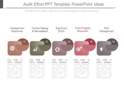 Audit effort ppt template powerpoint ideas