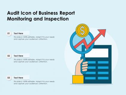Audit icon of business report monitoring and inspection