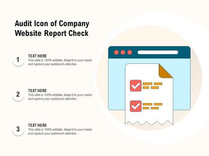 Audit icon of company website report check