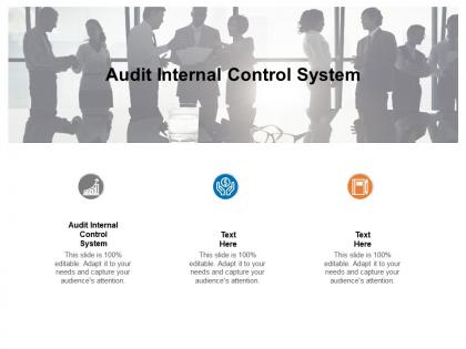 Audit internal control system ppt powerpoint presentation layouts ideas cpb