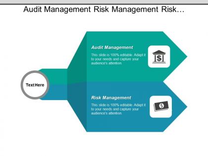 Audit management risk management risk evaluation mitigation strategies cpb