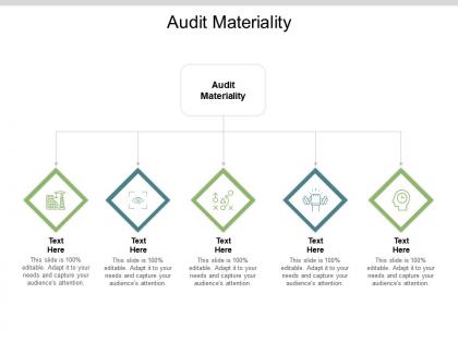 Audit materiality ppt powerpoint presentation icon objects cpb
