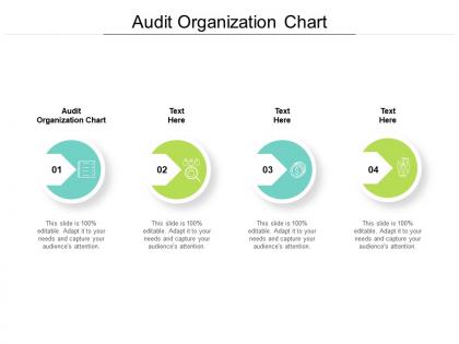 Audit organization chart ppt powerpoint presentation pictures graphics design cpb