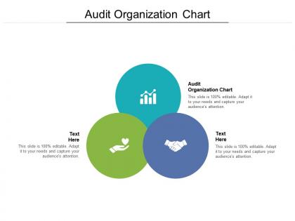 Audit organization chart ppt powerpoint presentation show templates cpb