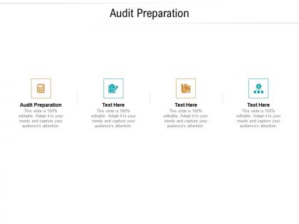 Audit preparation ppt powerpoint presentation layouts shapes cpb