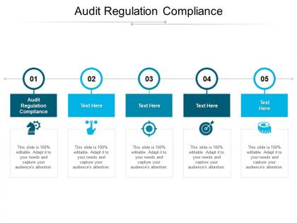 Audit regulation compliance ppt powerpoint presentation file show cpb