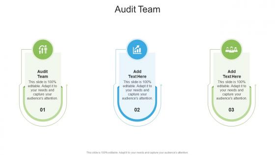 Audit Team In Powerpoint And Google Slides Cpb