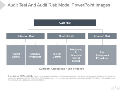 Audit test and audit risk model powerpoint images