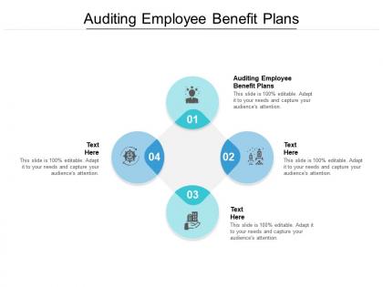 Auditing employee benefit plans ppt powerpoint presentation infographic template graphics download cpb