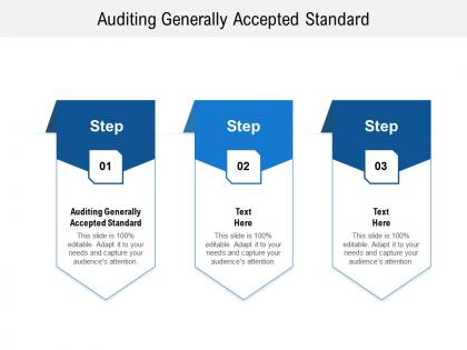 Auditing generally accepted standard ppt powerpoint presentation show example cpb
